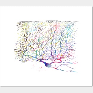 Purkinje Neuron Posters and Art